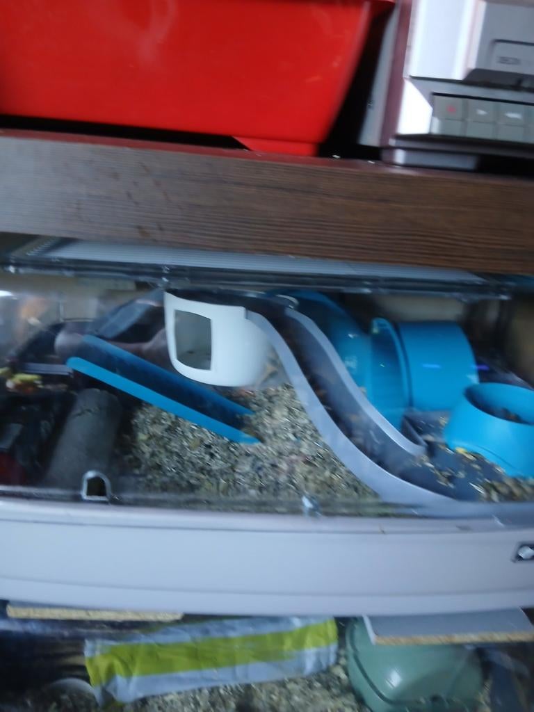 Hamster en kooi 15 euro bieden mag, Ophalen