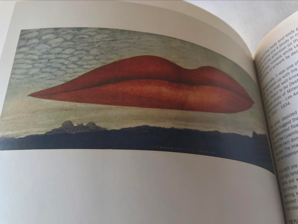 Man Ray Sherrie Levine Sculptures 90pag, Ophalen of Verzenden, Zo goed als nieuw, Beeldhouwkunst