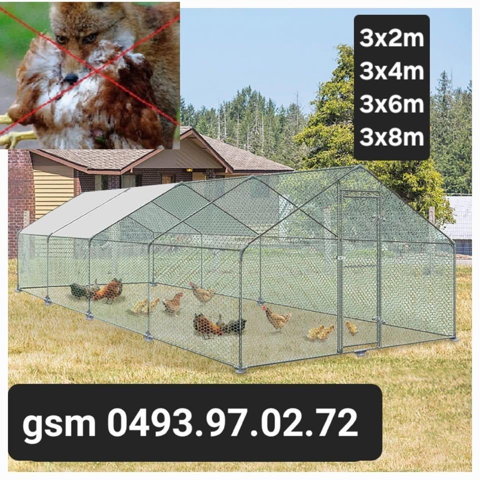 kippenrennen NIEUW incl draad en dakje, Dieren en Toebehoren, Ophalen, Nieuw