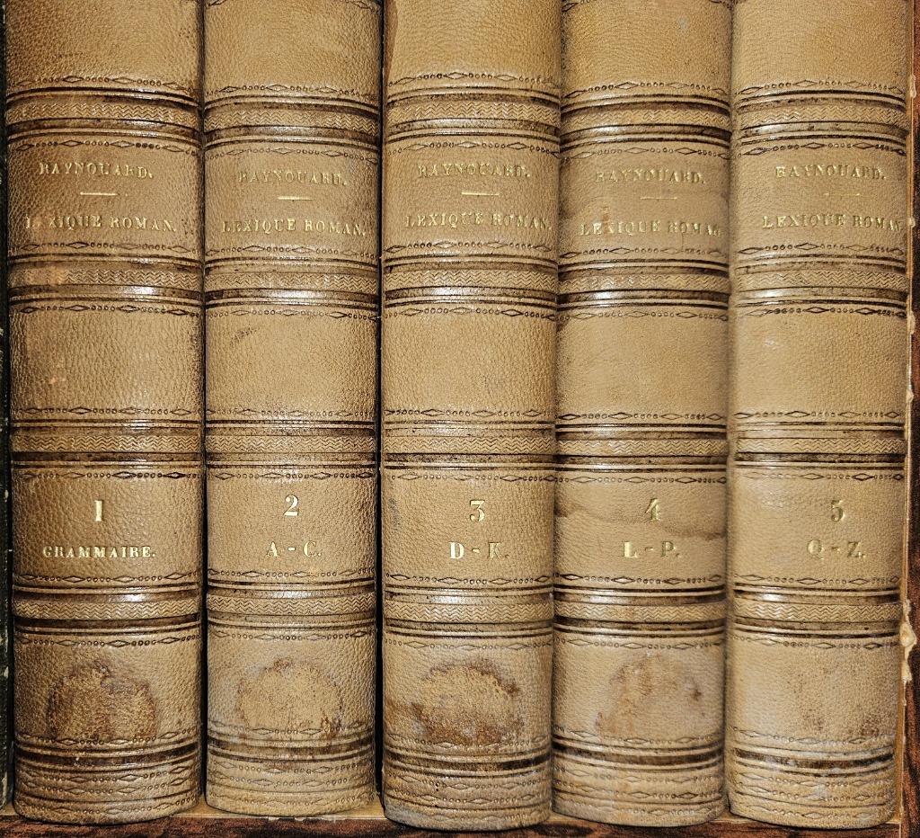 Lexique roman ou dictionnaire de la langue des troubadours, Boeken, Woordenboeken, Gelezen, Frans, François-Just-Marie Raynouard