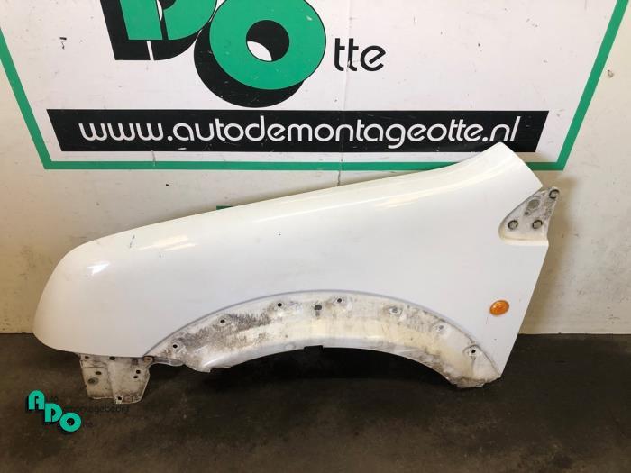 Scherm links-voor van een Ford Transit Connect (Transit Conn, Auto-onderdelen, Carrosserie, Gebruikt, -, -, Ophalen of Verzenden