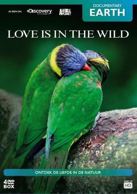 Dvd Box - Love is in the wild ( 4 dvd's ), Cd's en Dvd's, Dvd's | Documentaire en Educatief, Natuur, Ophalen of Verzenden
