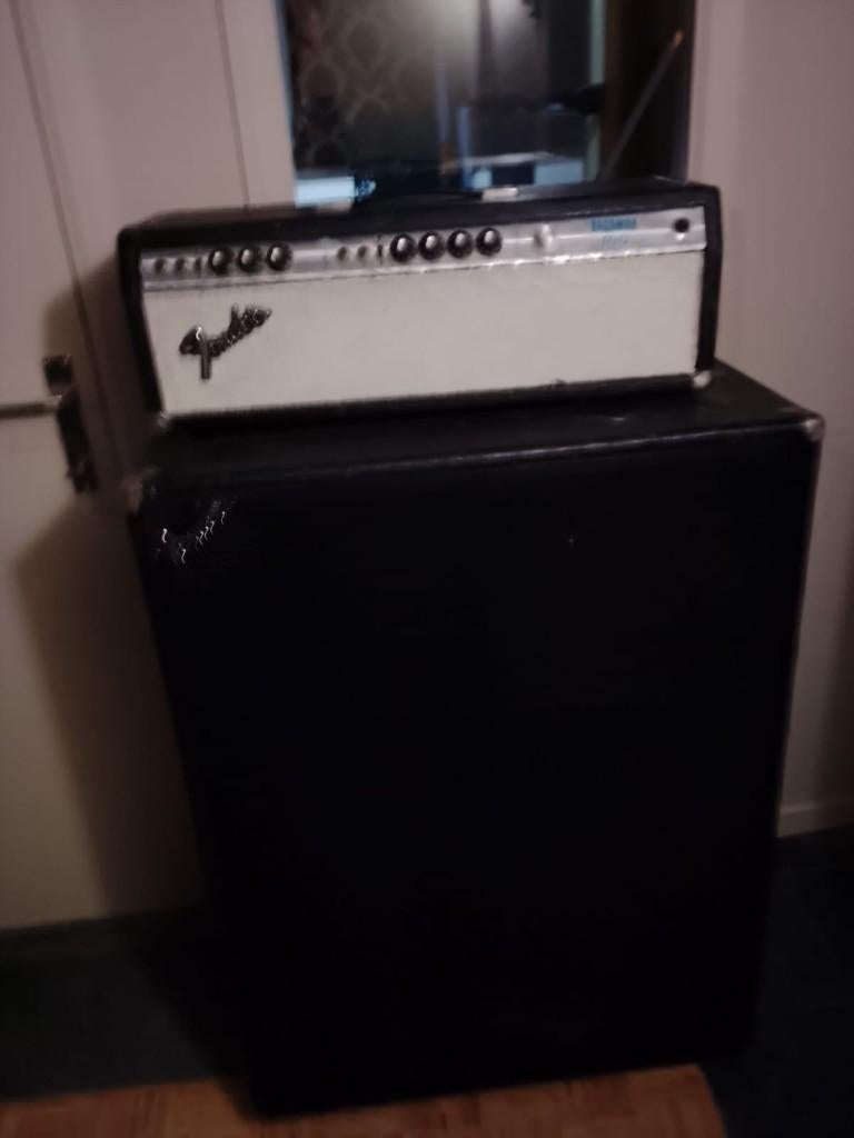 Ampli fender 100 à tubes, Enlèvement, Utilisé, Guitare, 50 à 100 watts