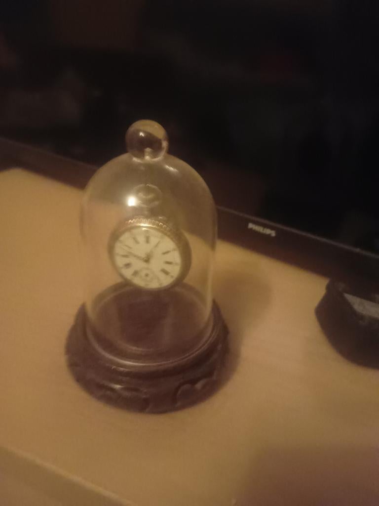 Uniek klokje onder glazen stolp, Huis en Inrichting, Woonaccessoires | Stolpen, Ophalen