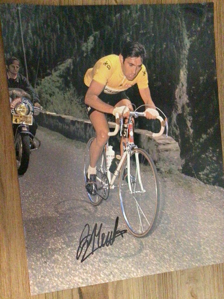 wielerposter 1969 team faema eddy merckx signe, Verzenden, Zo goed als nieuw