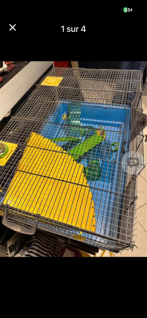 Cage à rongeurs lapin 80sur 60, Animaux & Accessoires, Enlèvement ou Envoi, Comme neuf, Cage, Lapin