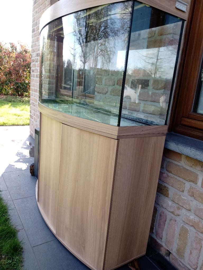Aquarium (260l JUWEL), Animaux & Accessoires, Enlèvement, Chauffage, Utilisé, Juwel