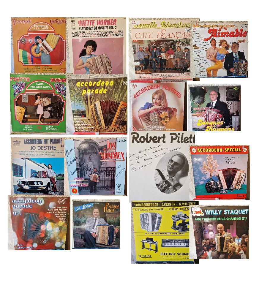 vinyles lot accordéon, CD & DVD, Vinyles | Musique du monde, Utilisé, Autres genres, Autres formats, Enlèvement ou Envoi