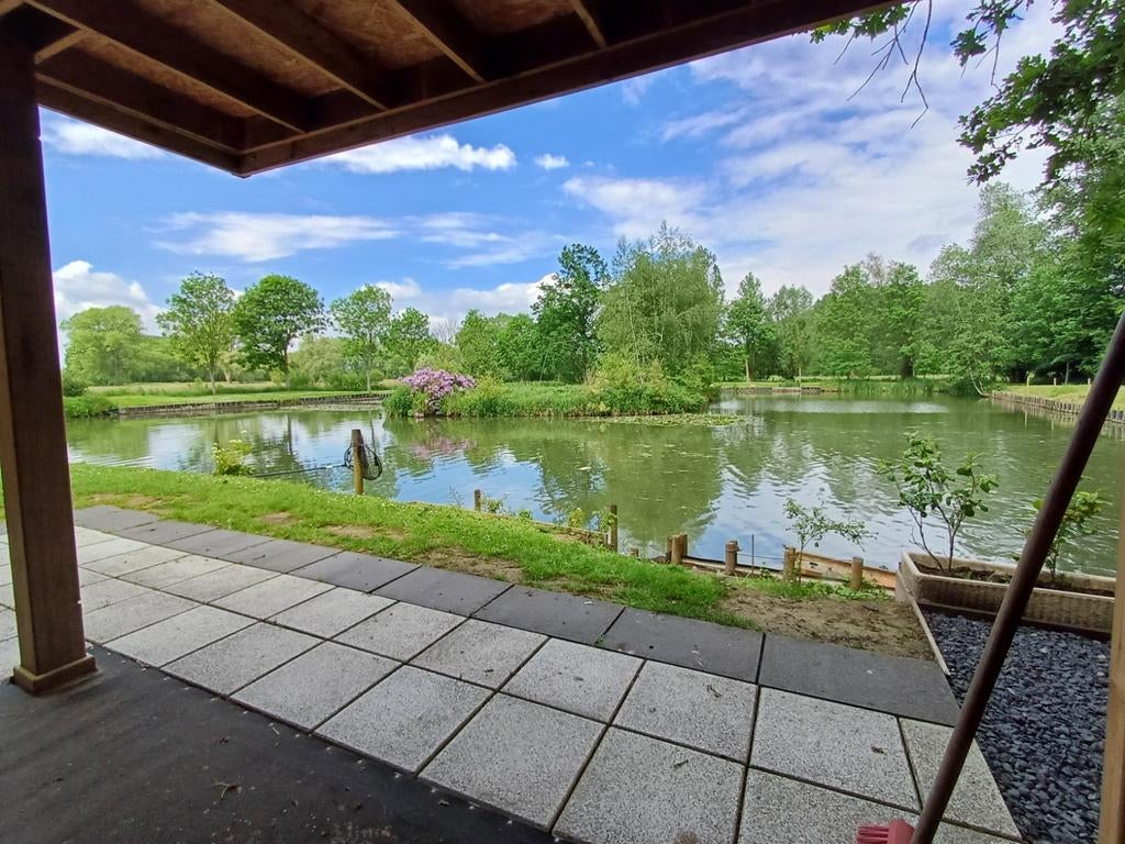 Kruiskroeskarper f1 en grote schubkarpers, Dieren en Toebehoren, Vissen | Aquariumvissen