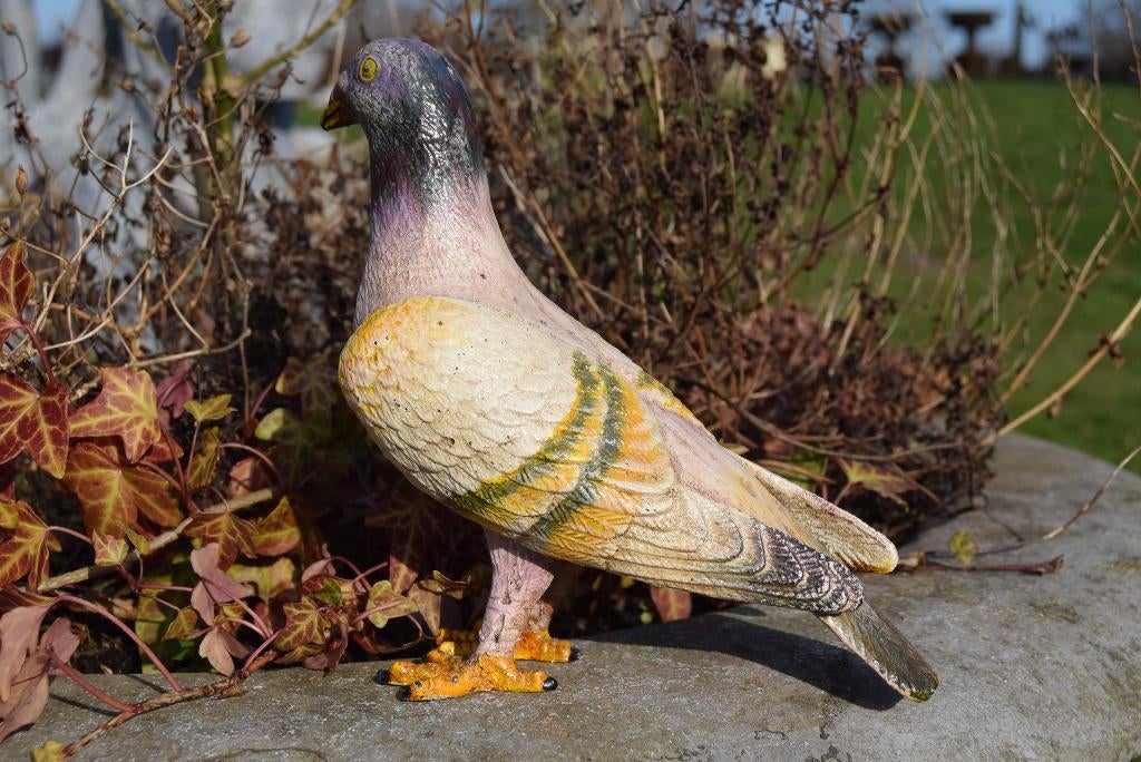PIGEON EN FONTE PATINEE POLYCHROME, Enlèvement ou Envoi, Neuf