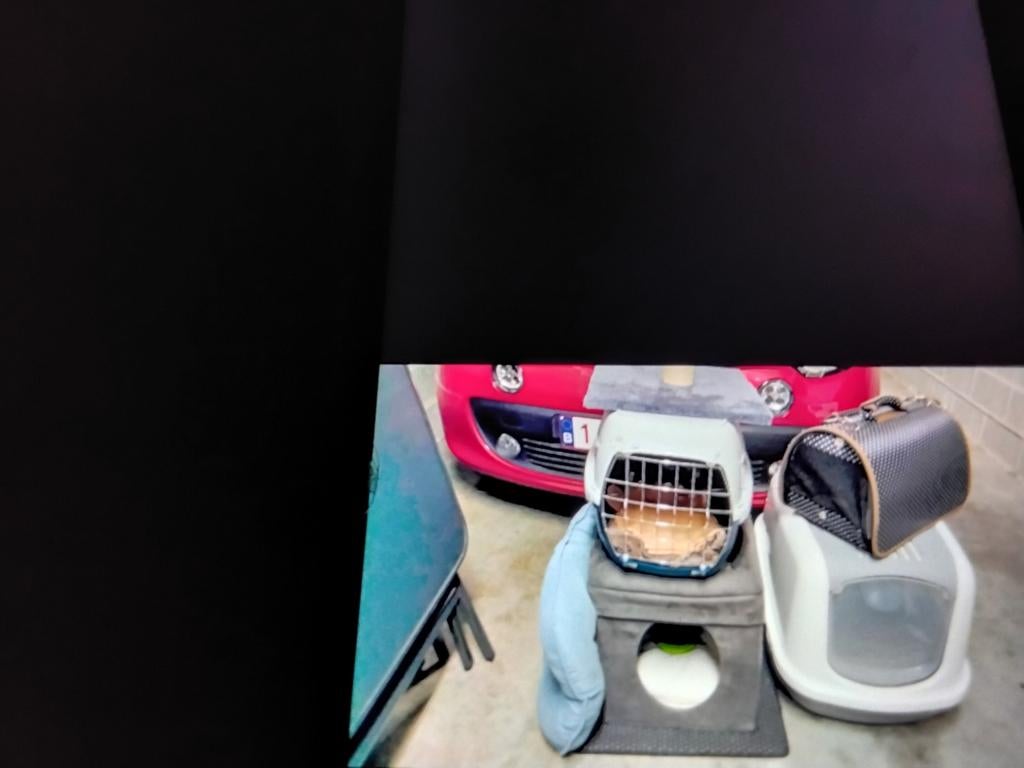 Accessoires pour chat