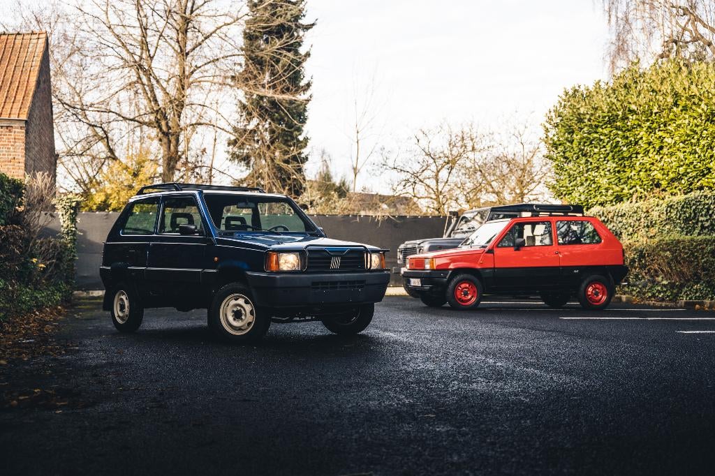 FIAT PANDA 4X4, Achat, Boîte manuelle, 4x4, Quatre roues motrices / 4X4