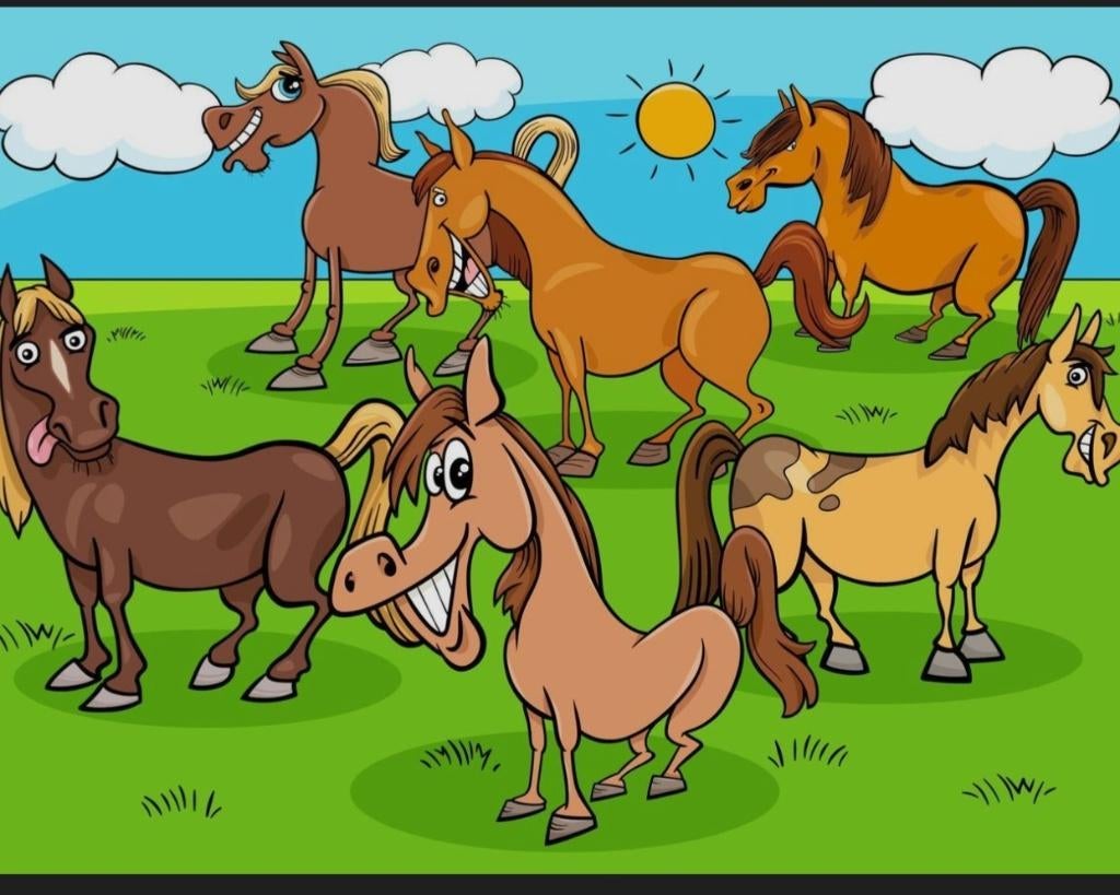 Brave gezonde pony's gezocht, Dieren en Toebehoren, Met stamboom