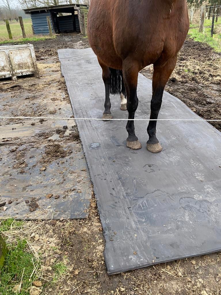 Slijk beu/rubbermatten leggen