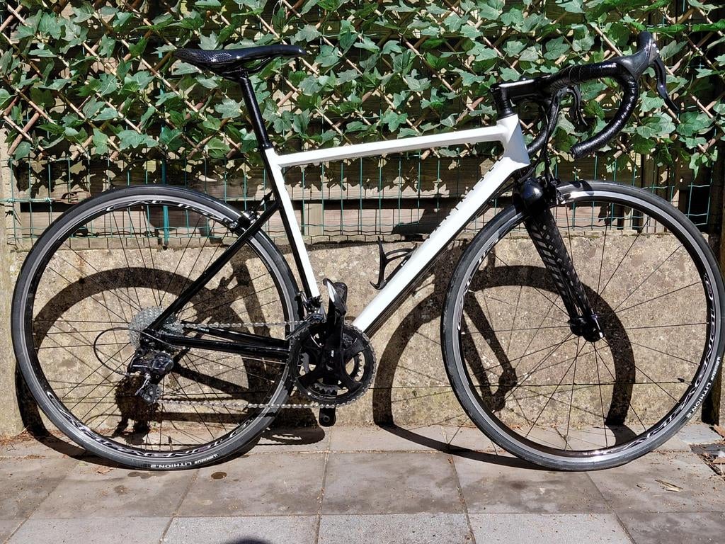 Vélo de route Van Rysel EDR AF, Autres marques, 10 à 15 vitesses, Enlèvement ou Envoi, Aluminium