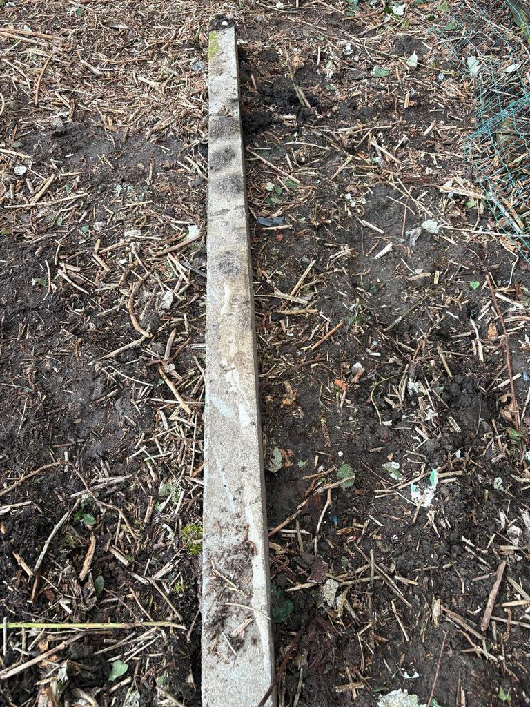 Gratis, 3 betonpalen, lengte: 2,5 meter  Dikte: 10 op 10 cm, Dieren en Toebehoren