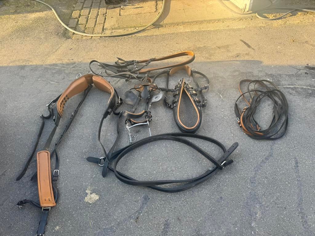 Iedeal mentuig, Dieren en Toebehoren, Paarden en Pony's | Hoofdstellen en Tuigage, Ophalen