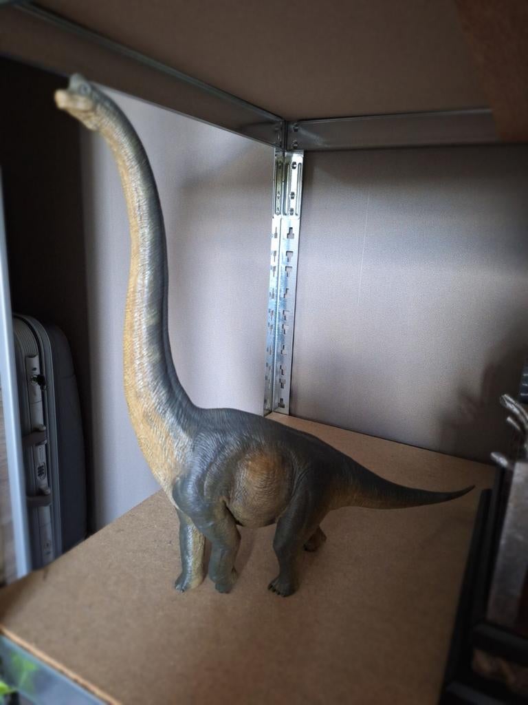 Nanmu brachiosaurus grijs, Ophalen