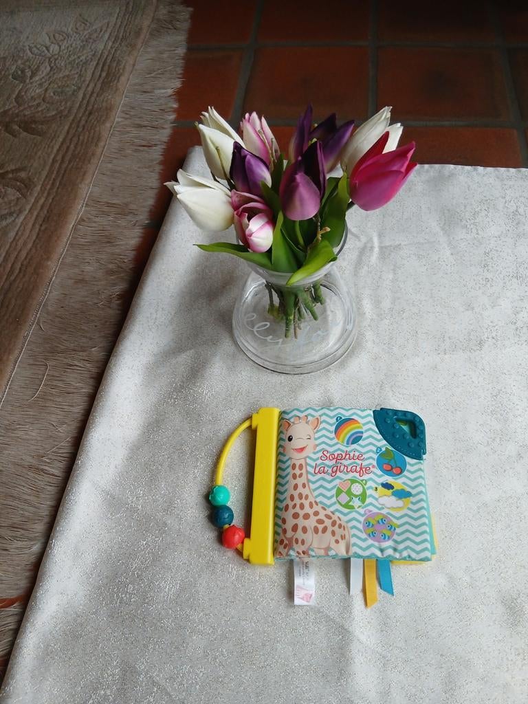 Superleuk Sophie de Giraf babyboekje met bijtring, Kinderen en Baby's, Speelgoed | Babyspeelgoed, Ophalen of Verzenden