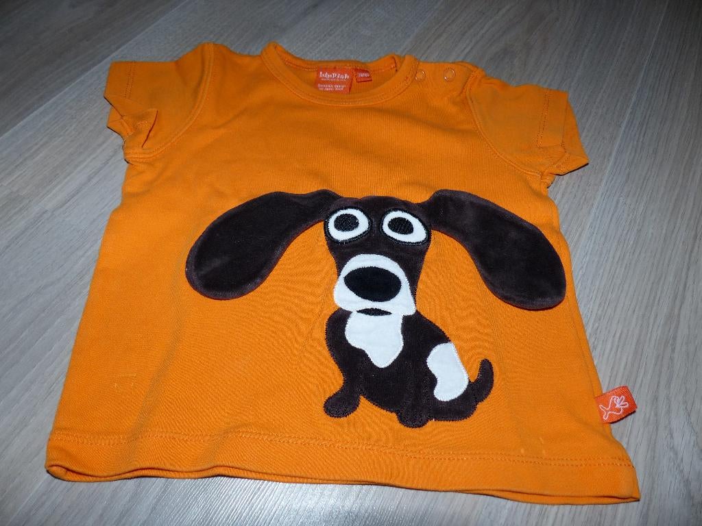 Lipfish oranje shirtje met korte mouwen - maat 74, Kinderen en Baby's, Babykleding | Maat 74, Meisje, Ophalen of Verzenden, Shirtje of Longsleeve