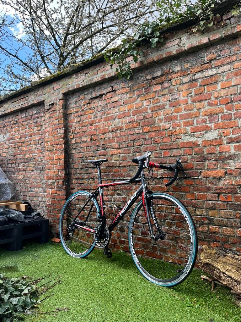 Ridley koersfiets maat 54, Fietsen en Brommers, Fietsen | Racefietsen, Ophalen, Gebruikt