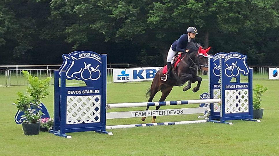 Drachtige D pony, Animaux & Accessoires, Avec pedigree, Poney D (1.37 m à 1.48m), Ne s'applique pas, Poney de saut