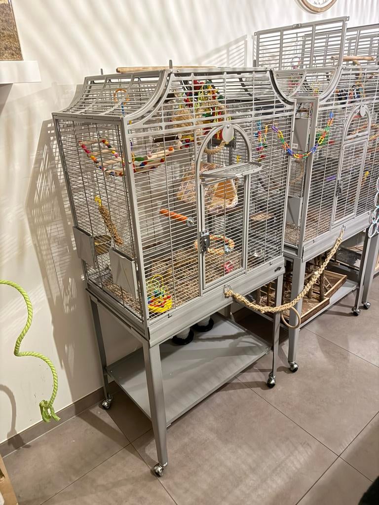 Vogelkooi madeira, Dieren en Toebehoren, Ophalen, Zo goed als nieuw, Vogelkooi