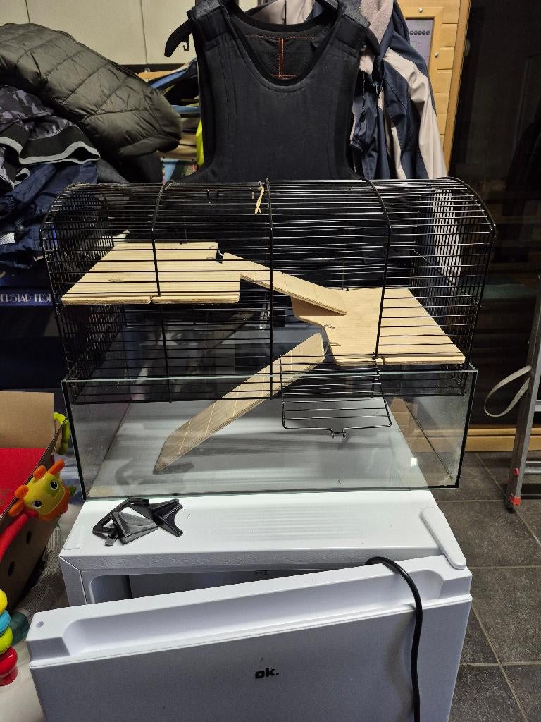 cage à hamster, Souris, Niche, Moins de 60 cm, Utilisé