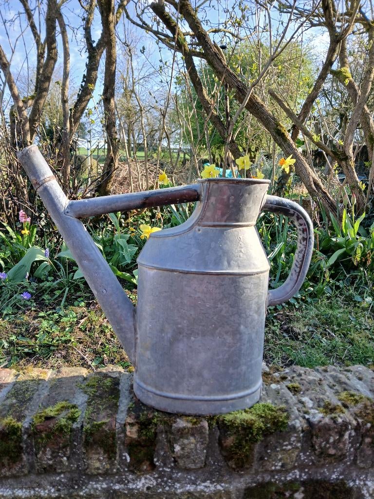 Arrosoirs en Zinc galvanisé, Enlèvement, Utilisé, Métal