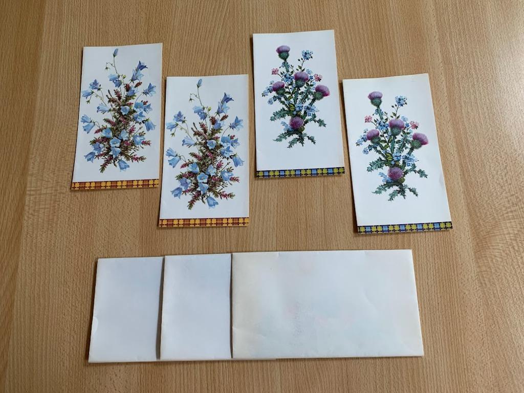 Kaart/briefpapier, Ophalen of Verzenden, Natuur, Prent