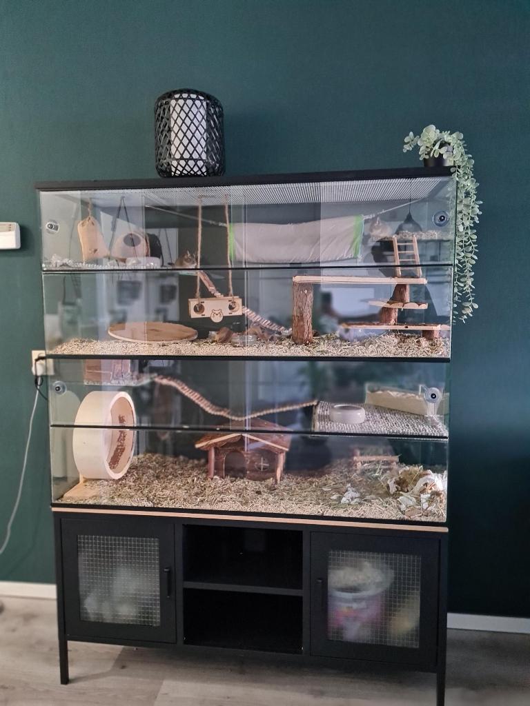 Grote chinchilla kooi zonder tralies 120x50x120, Kooi, 110 cm of meer, Nieuw, Ophalen of Verzenden