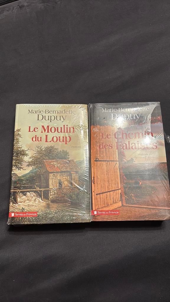 Marie-Bernadette Dupuy, Livres, Romans, Enlèvement, Neuf