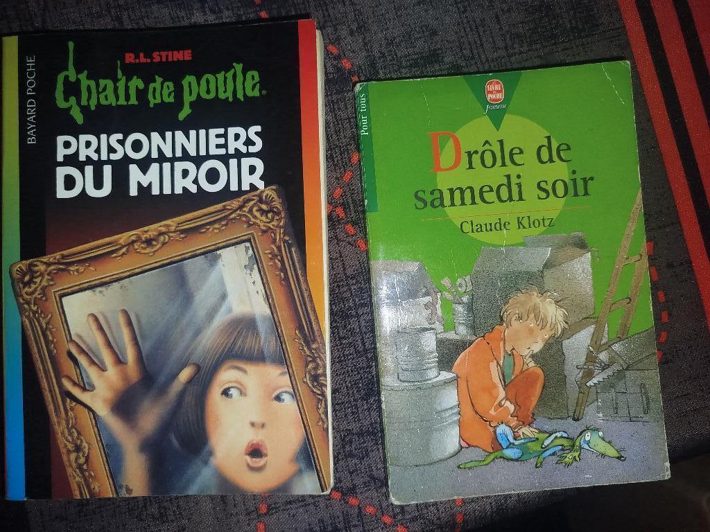 Livre scolaire, Ophalen of Verzenden, Zo goed als nieuw, Fries