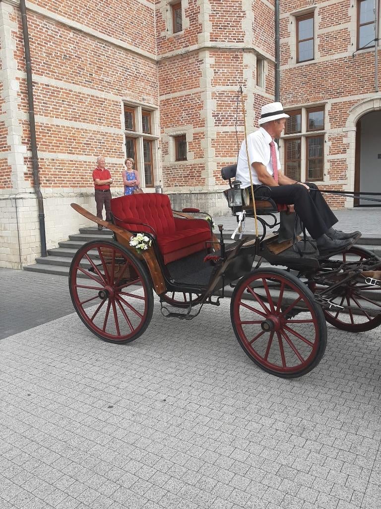 Calèche Victoria, Animaux & Accessoires