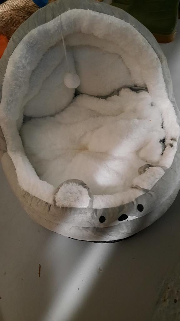 Lit doux pour chat, Animaux & Accessoires, Enlèvement ou Envoi