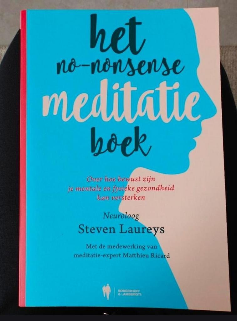 Het no-nonsense meditatie boek (in nieuwstaat), Boeken, Ophalen