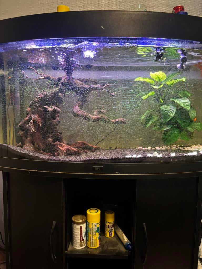 Aquarium 180l, Dieren en Toebehoren, Vissen | Aquaria en Toebehoren, Ophalen of Verzenden, Zo goed als nieuw