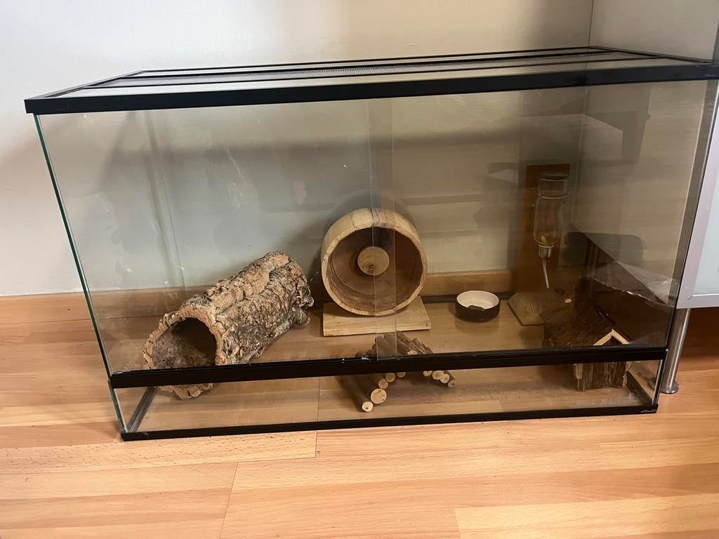 Glazen hamsterkooi ( lengte:78 cm,breedte:37cm,hoogte:49 cm), Moins de 60 cm, 75 à 110 cm, Cage, Comme neuf