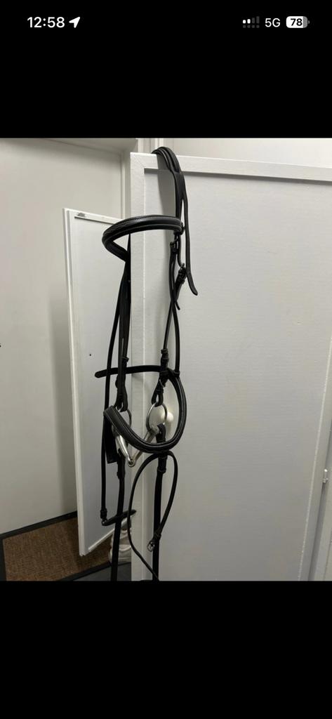 Hoofdstel qhp, Dieren en Toebehoren, Ophalen, Gebruikt, Overige soorten