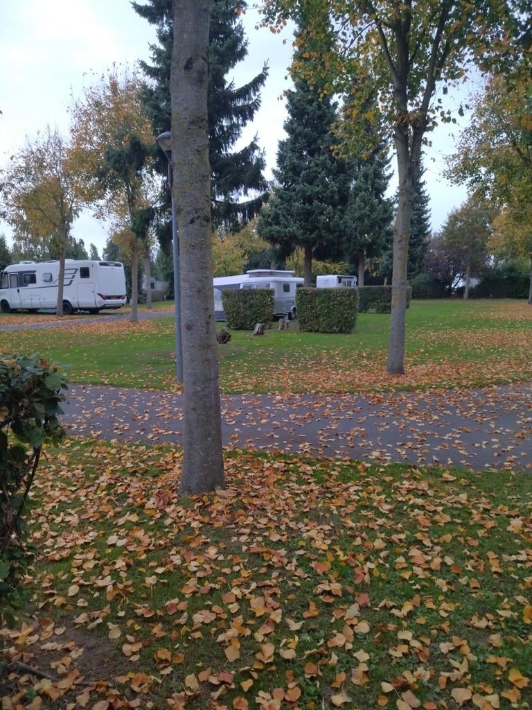 Cavalier 420 de luxe Antares ambiance, Caravanes & Camping, Jusqu'à 4, 750 - 1000 kg, Particulier, Poêle