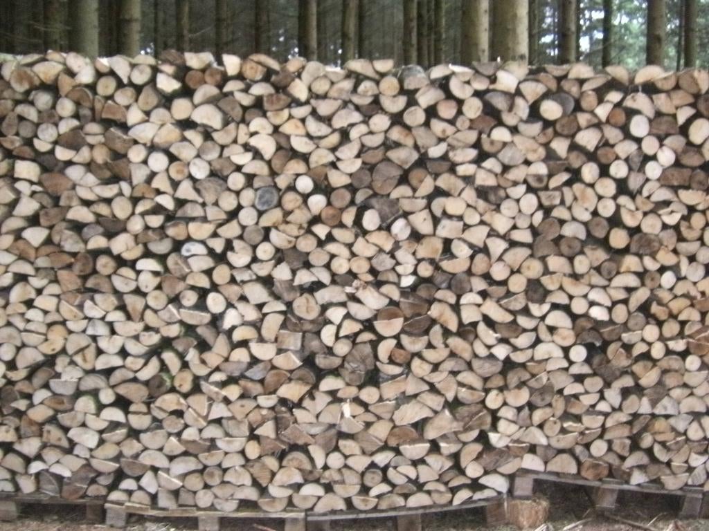 Bois de chauffage Saule en 33 cm ., Jardin & Terrasse, 6 m³ ou plus, Enlèvement, Autres essences de bois, Bûches