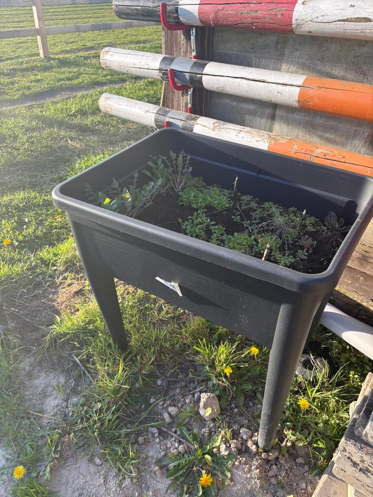 moestuinbak, Tuin en Terras, Kweekspullen, Ophalen, Zo goed als nieuw