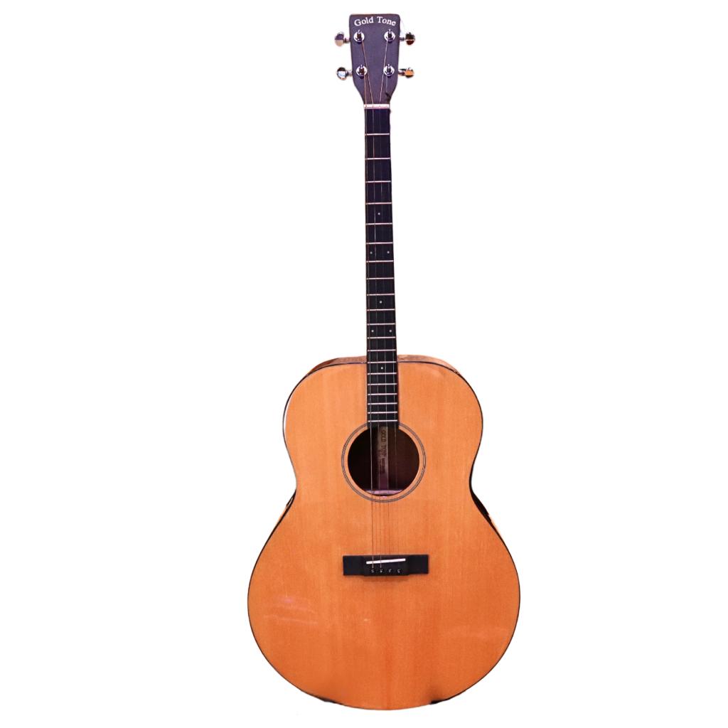 Gold Tone T-18 Tweedehands Tenor Gitaar, Ophalen