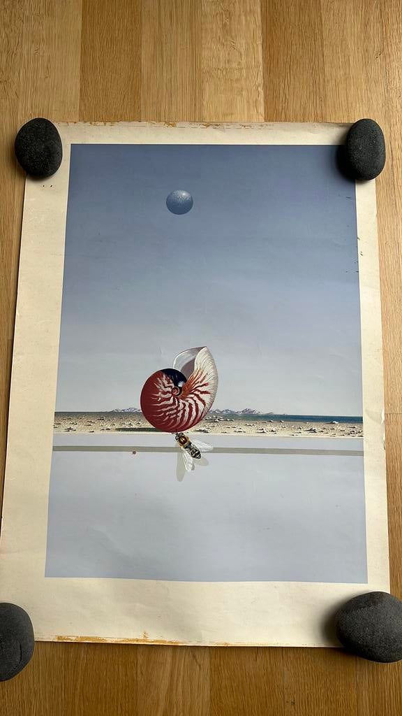 Affiche de la peinture Generarions, Enlèvement, Comme neuf