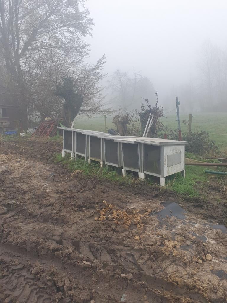 Vinken schuilhouden, Dieren en Toebehoren, Ophalen