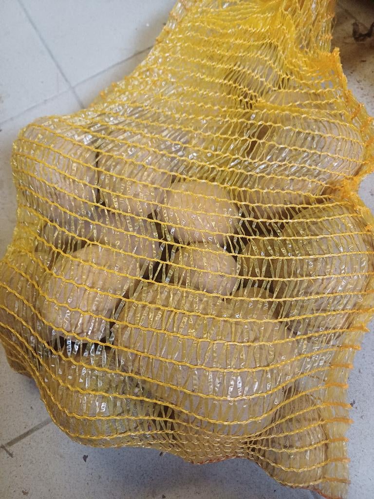 Vend pomme de terre par petites et grandes quantité, Articles professionnels, Agriculture | Outils, Enlèvement, Technique de pomme de terre