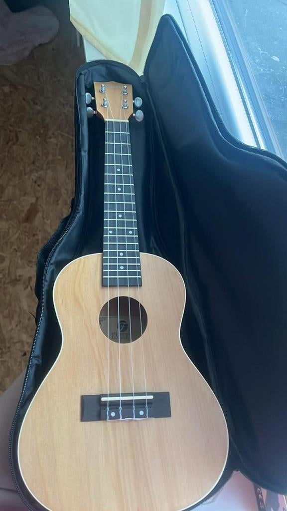 Ukelele met toebehoren, Enlèvement