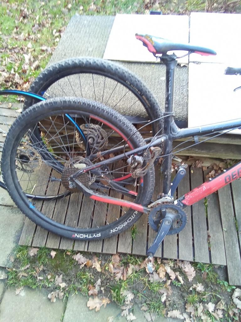 Vélo bergamont, Enlèvement