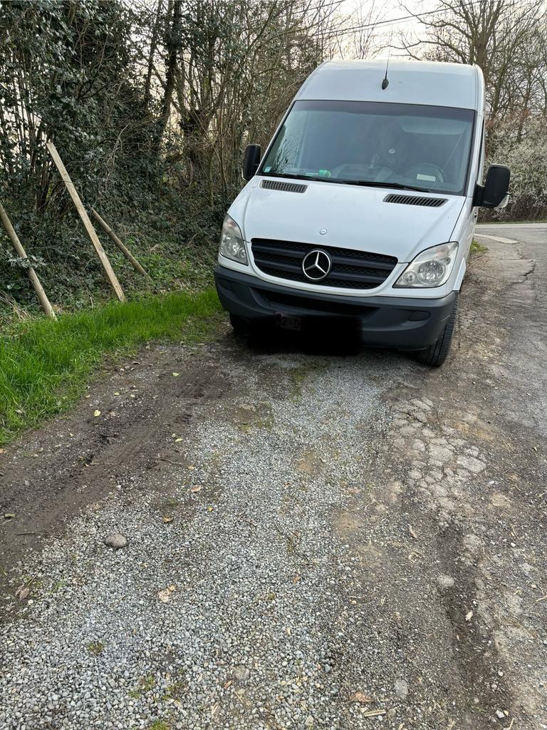 Verhuur van busjes met chauffeur, Bedrijf, Te koop