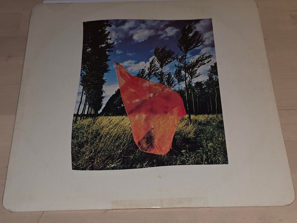 33T Pink Floyd 1973 Duitsland, Cd's en Dvd's, Ophalen of Verzenden